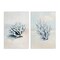 Stupell Industries Faded White Coral Branches 2pc Canvas Set Design by Ramona Murdock